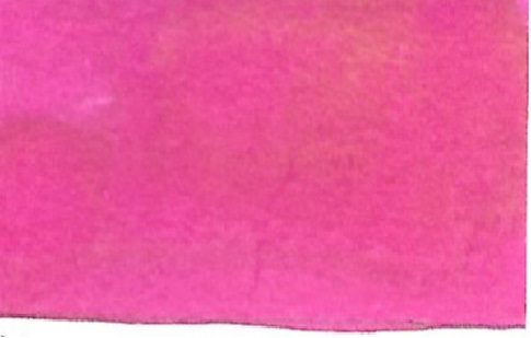 Swatch of Lamy Vibrant Pink